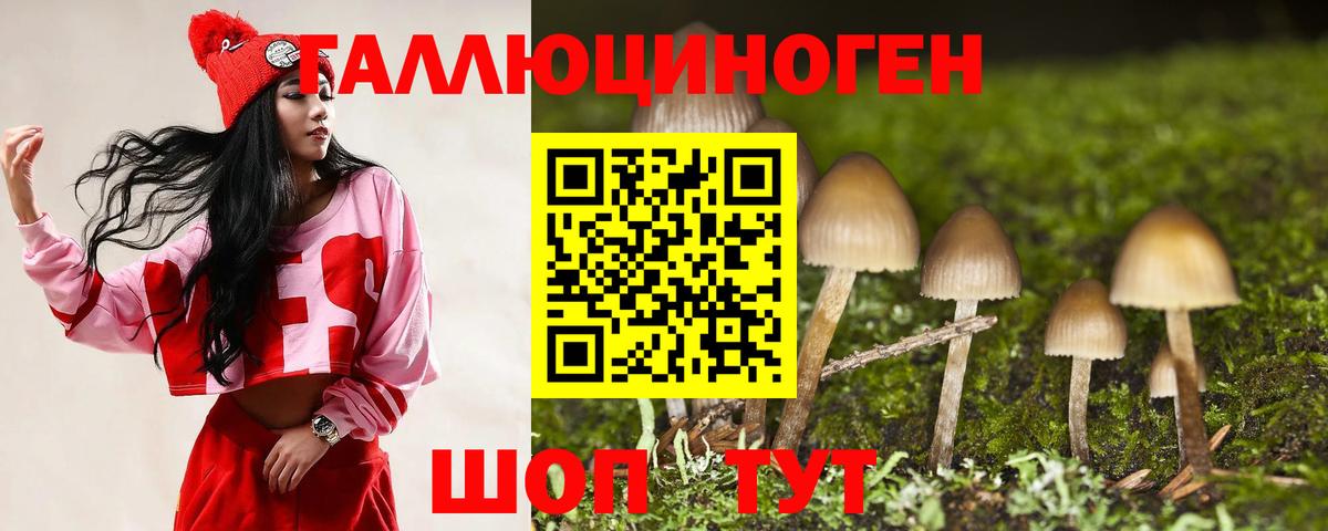 Галлюциногенные грибы Psilocybe  Вход с VPN  Северобайкальск 