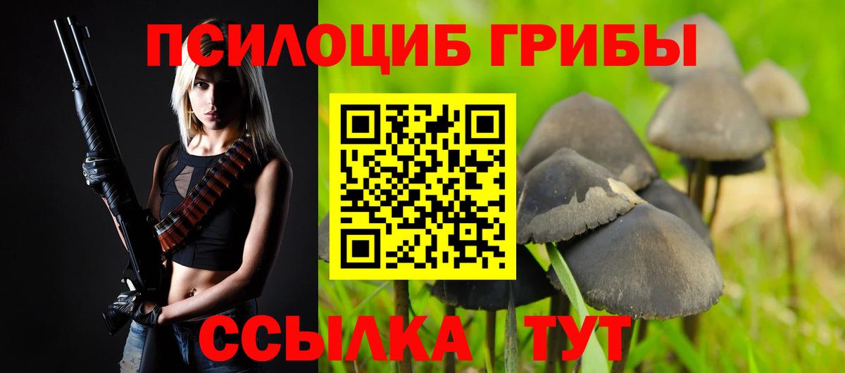 Галлюциногенные грибы мухоморы Северобайкальск